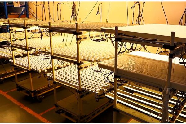 Những Lỗi Kỹ Thuật Thường Gặp Khi Sản Xuất Tranh Điện